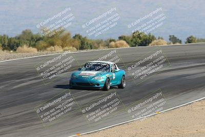 media/Feb-18-2024-Nasa AZ (Sun) [[891db5b212]]/7-Race Group A/Session 1 Turn 12 Exit-Bowl Entry/